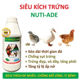 Siêu kích trứng - Công Ty TNHH Thương Mại Trung Việt